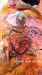 TurtleCovedetail